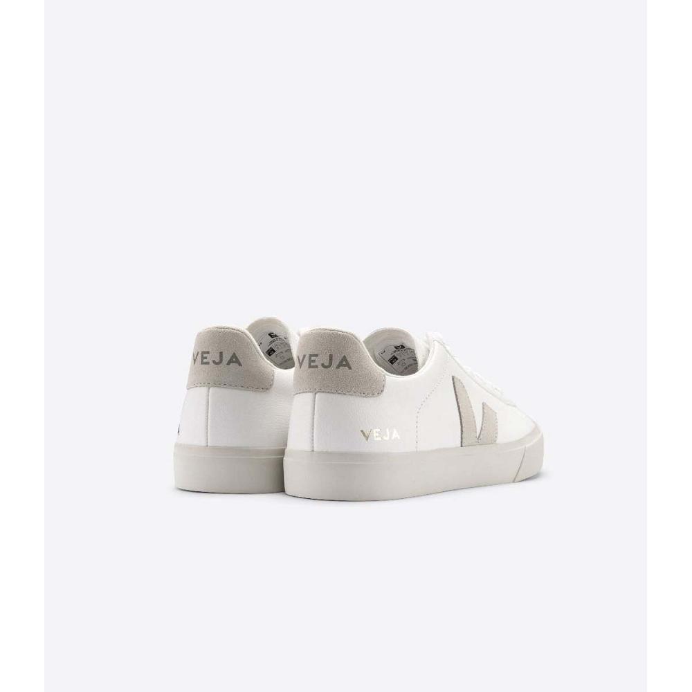 Veja CAMPO CHROMEFREE Women's Low Tops Sneakers White/Beige | NZ 594JPQ